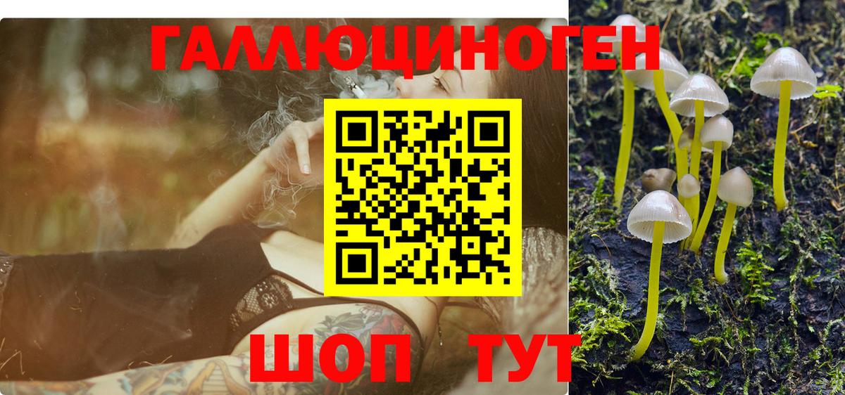 Заволжье  Псилоцибиновые грибы GOLDEN TEACHER  Галлюциногенные грибы прущие грибы  Вход с VPN 
